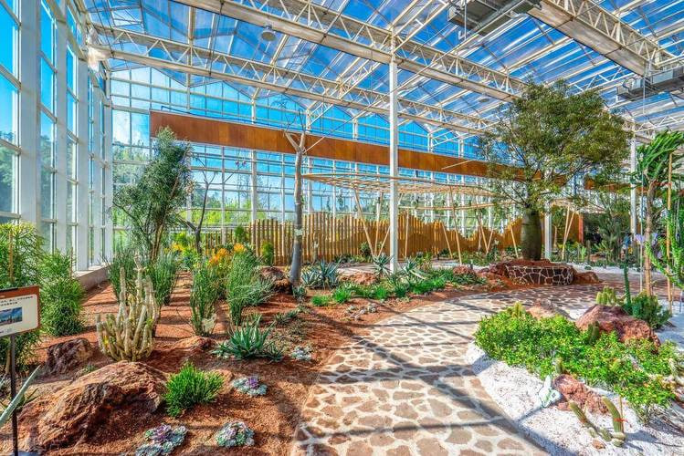 50net永乐高(中国区)有限公司推出企业绿植租摆升级服务