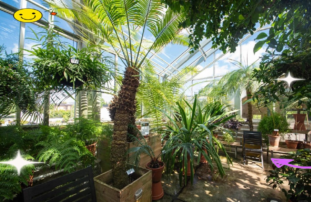 50net永乐高(中国区)有限公司完成产品体系升级 丰富家庭园艺系列布局