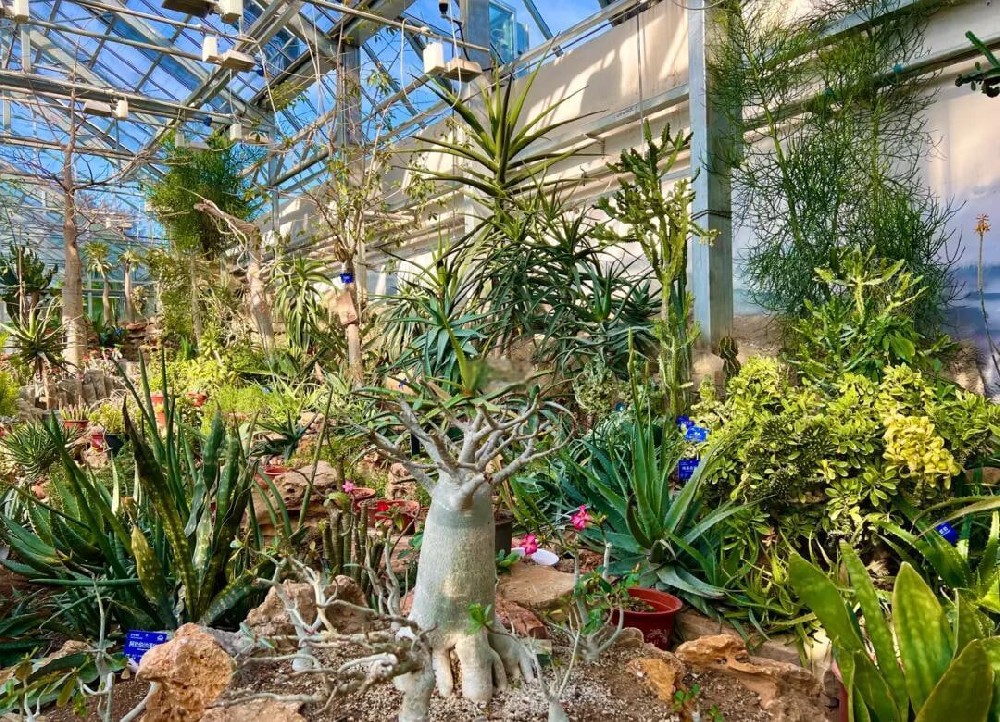 50net永乐高(中国区)有限公司深化渠道合作 拓展城市服务网络