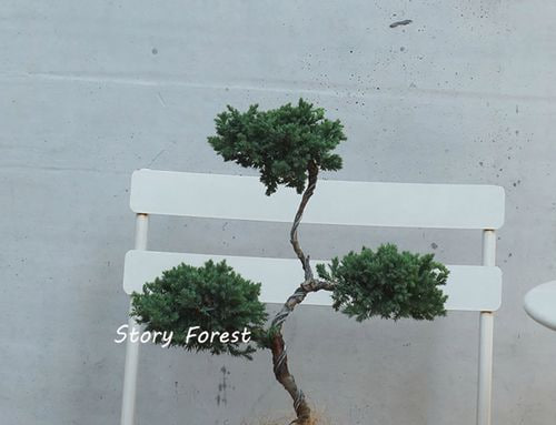 绿色办公理念深化 企业空间绿化需求持续增长